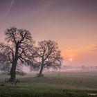 Landschaft im Kreis Plön