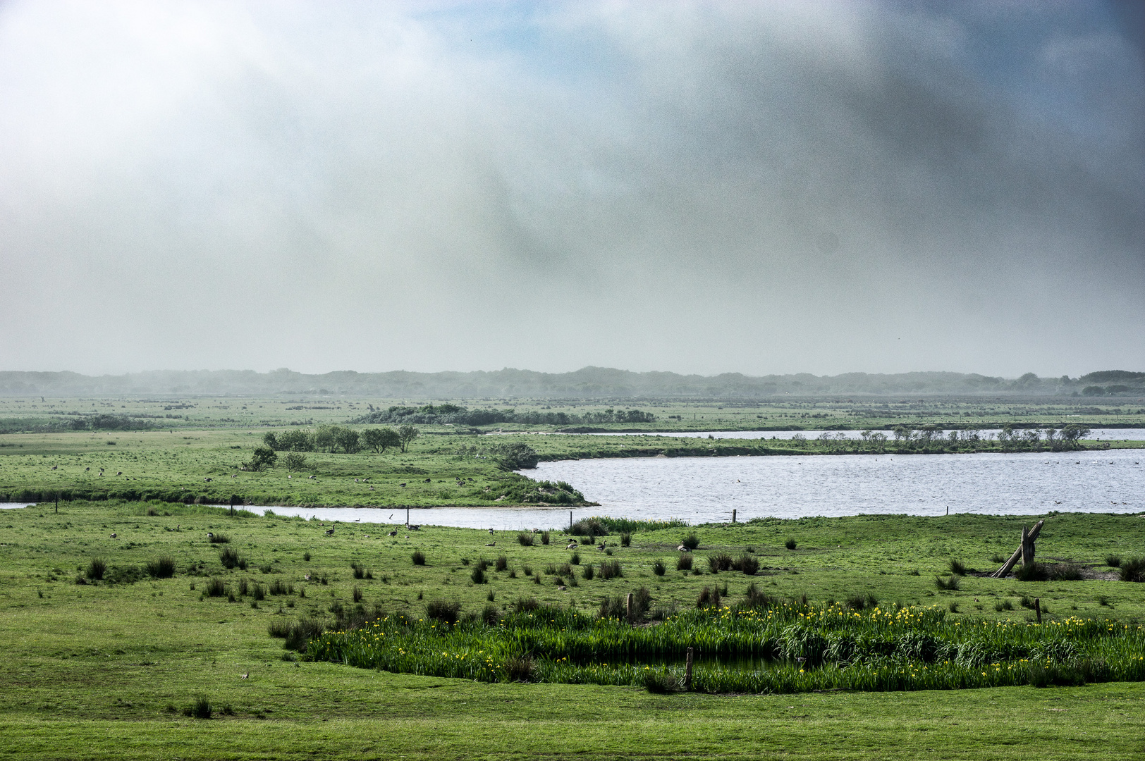 Landschaft im Küstennebel