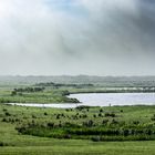 Landschaft im Küstennebel