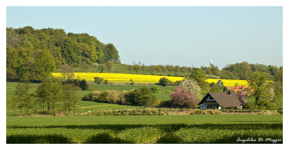 Landschaft im Lipperland