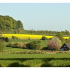 Landschaft im Lipperland