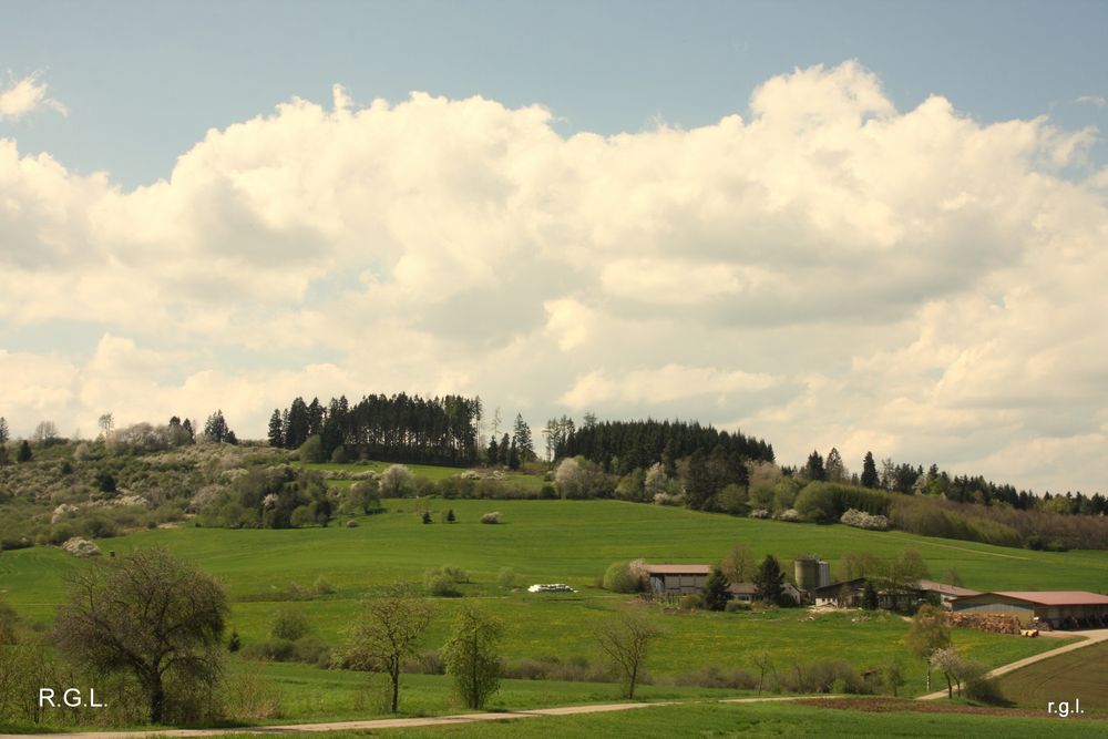 Landschaft im Mai