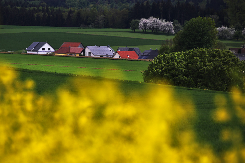 Landschaft im Mai