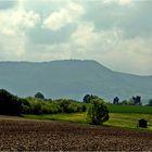 Landschaft im Mai