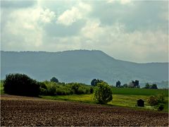 Landschaft im Mai