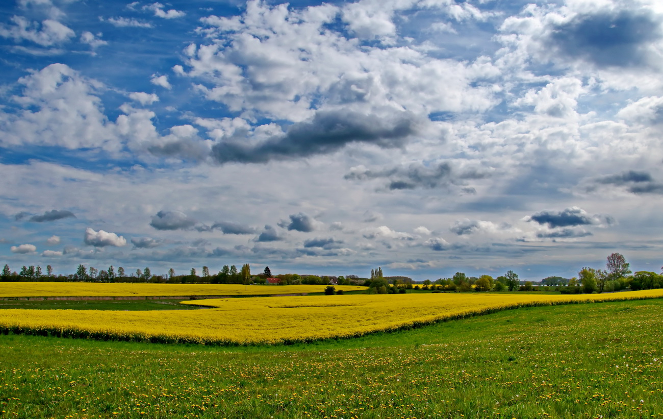 Landschaft im Mai