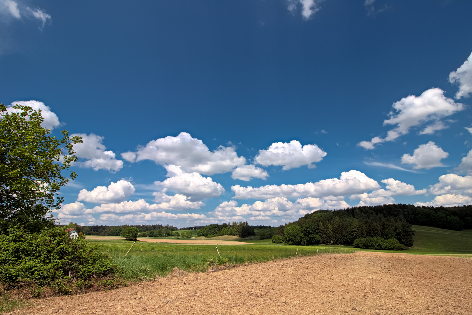 Landschaft im Mai