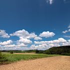 Landschaft im Mai