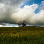 Landschaft im Mai (DSCN2507)