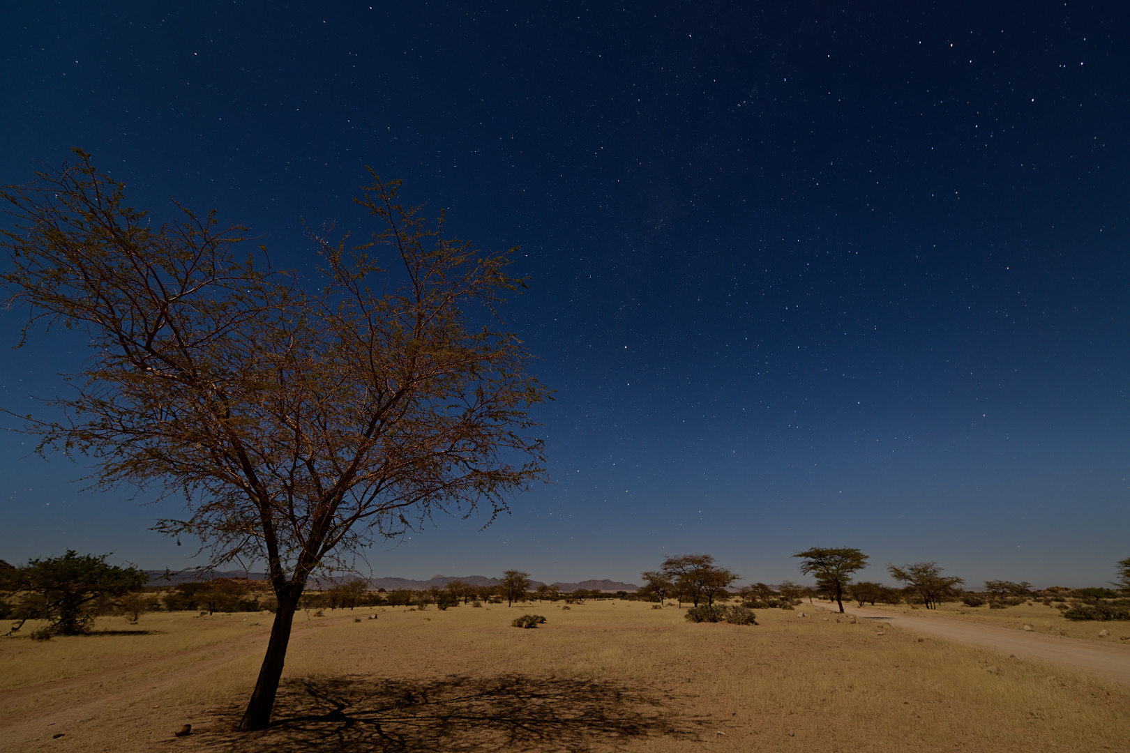 Landschaft im Mondlicht bei Solitaire