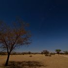 Landschaft im Mondlicht bei Solitaire