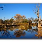 Landschaft im Moremi Game Reserve