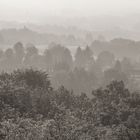 Landschaft im morgendlichen Nebel (daheim)