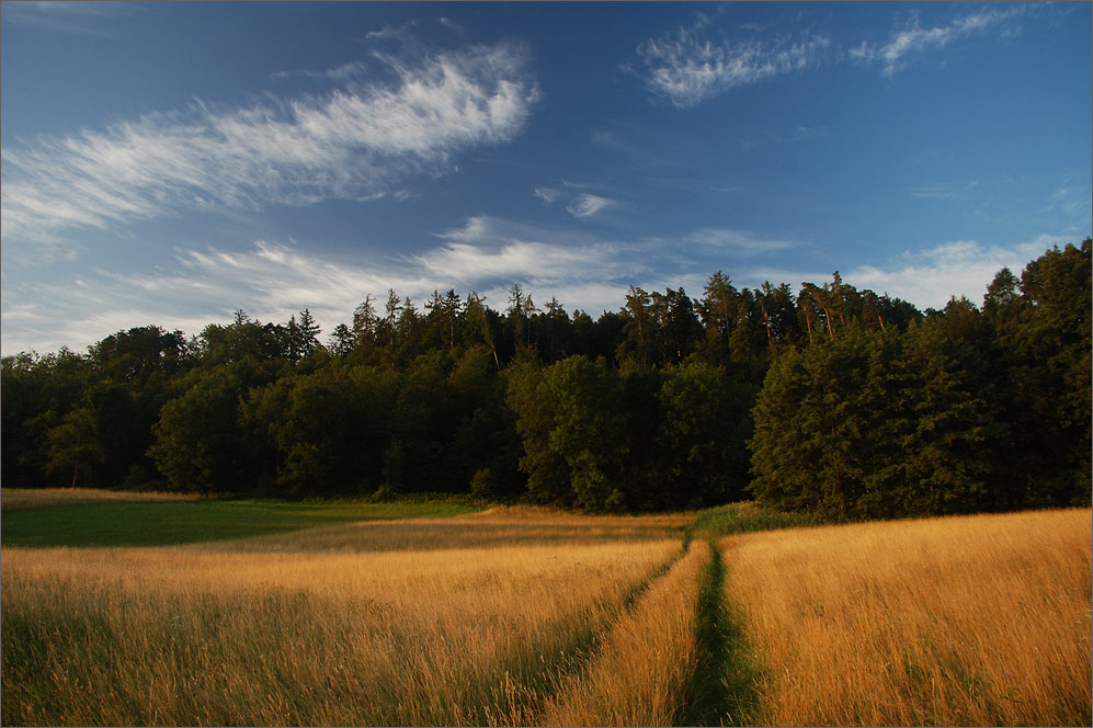 Landschaft im Morgenlicht