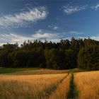 Landschaft im Morgenlicht