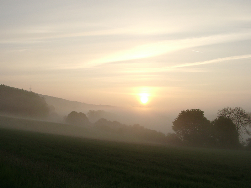 Landschaft im Morgennebel