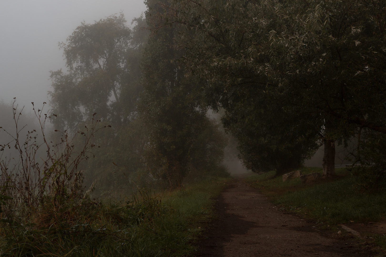 Landschaft im Morgennebel