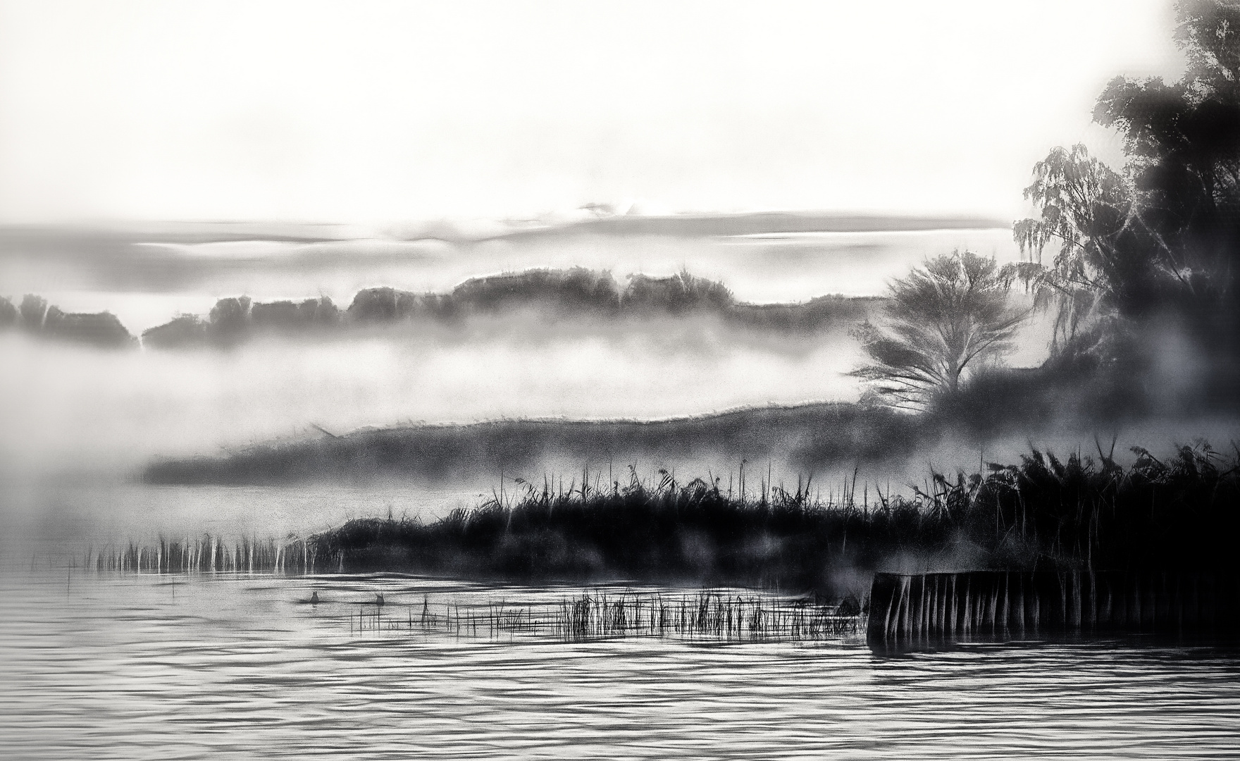 ... landschaft im morgennebel