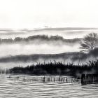 ... landschaft im morgennebel