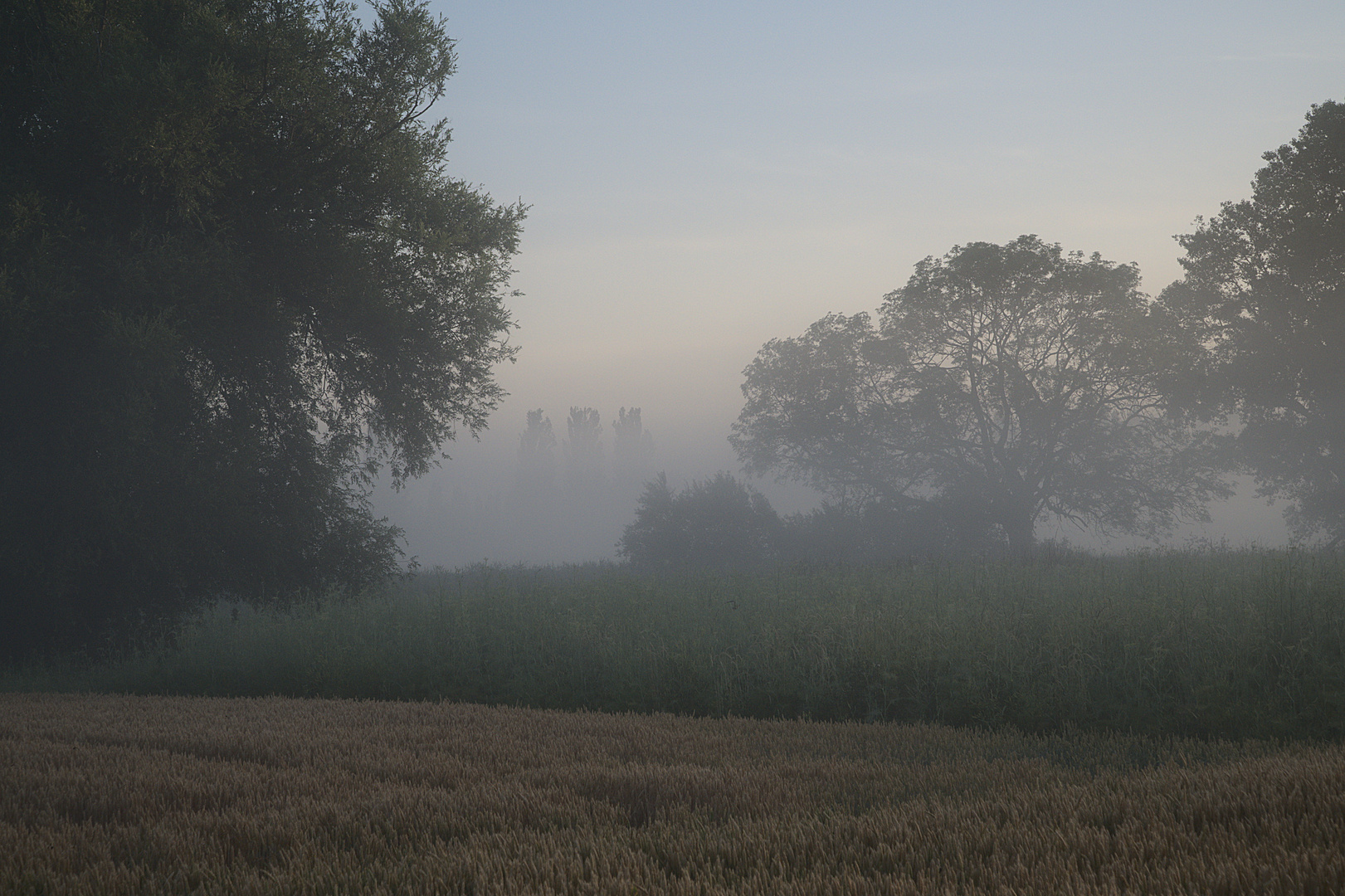 Landschaft im Morgennebel