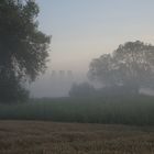 Landschaft im Morgennebel