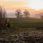 Landschaft im Nachmittagslicht