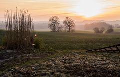 Landschaft im Nachmittagslicht