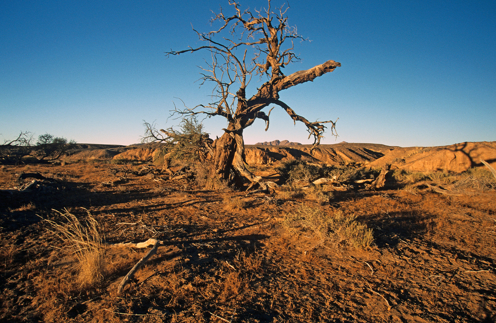 Landschaft im Namib Naukluft Nationalpark, Namibia