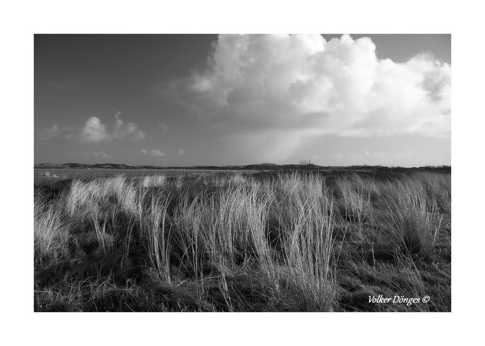 Landschaft im Naturschutzgebiet De Muy