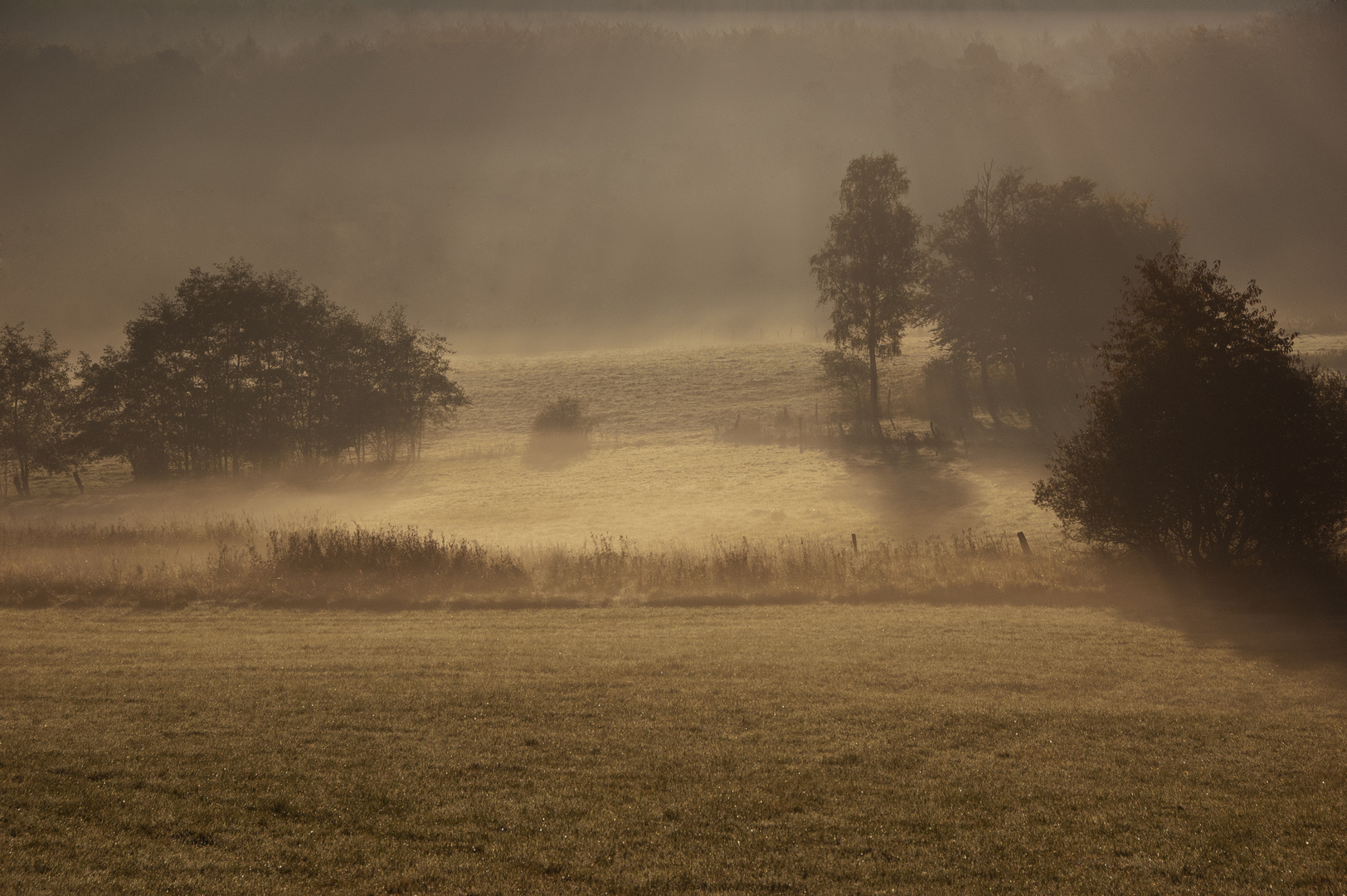 Landschaft im Nebel