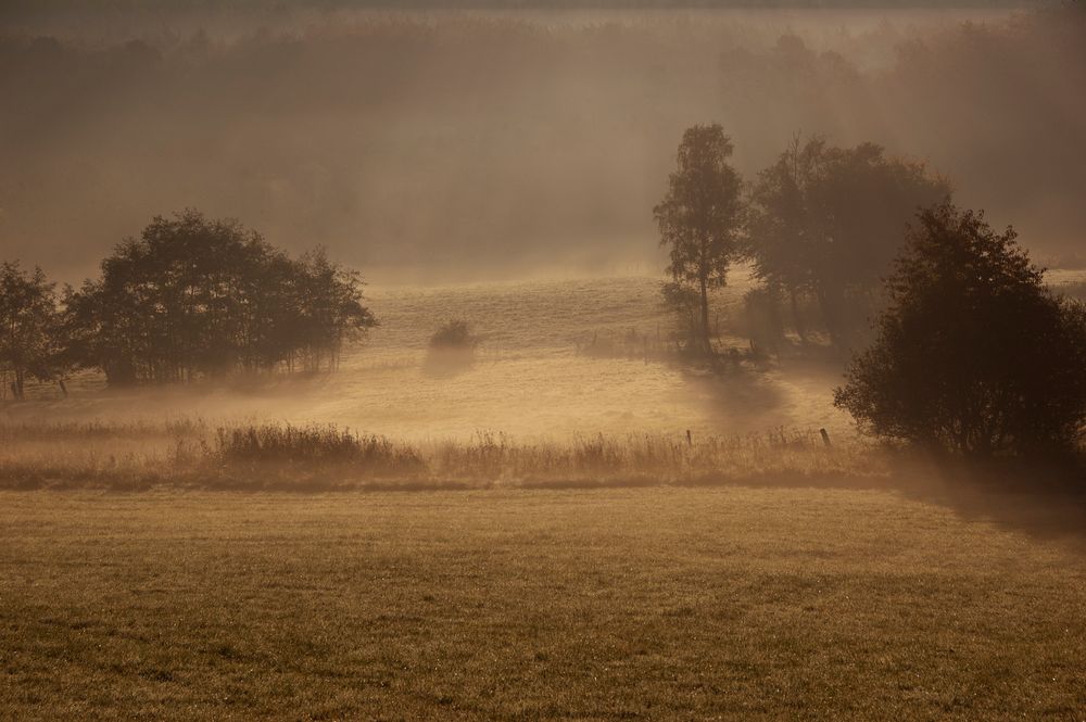 Landschaft im Nebel von Sustine 