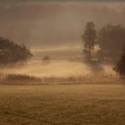 Landschaft im Nebel