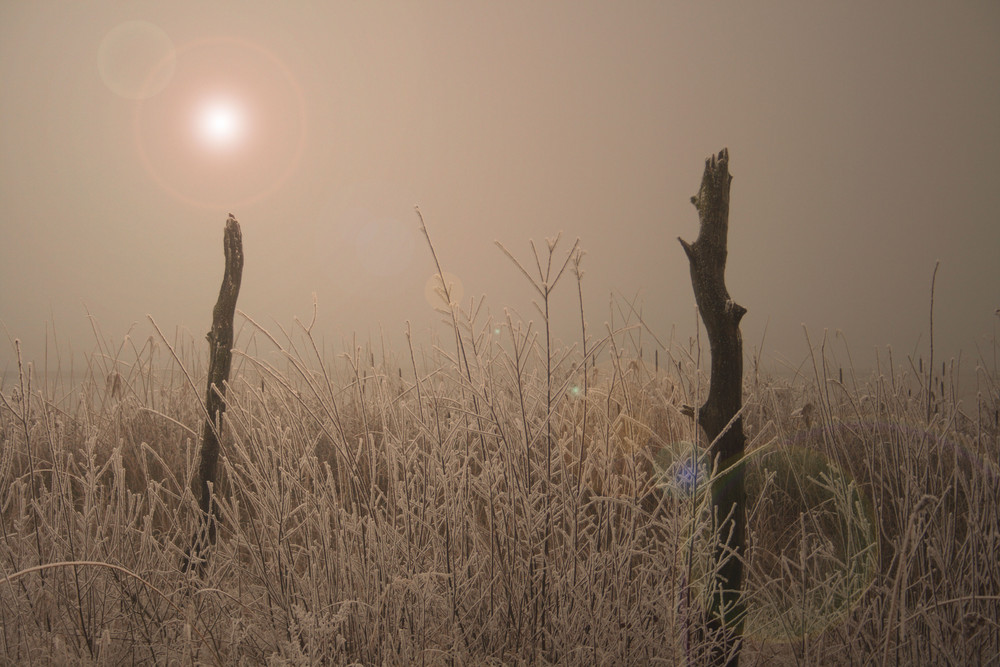 Landschaft im Nebel