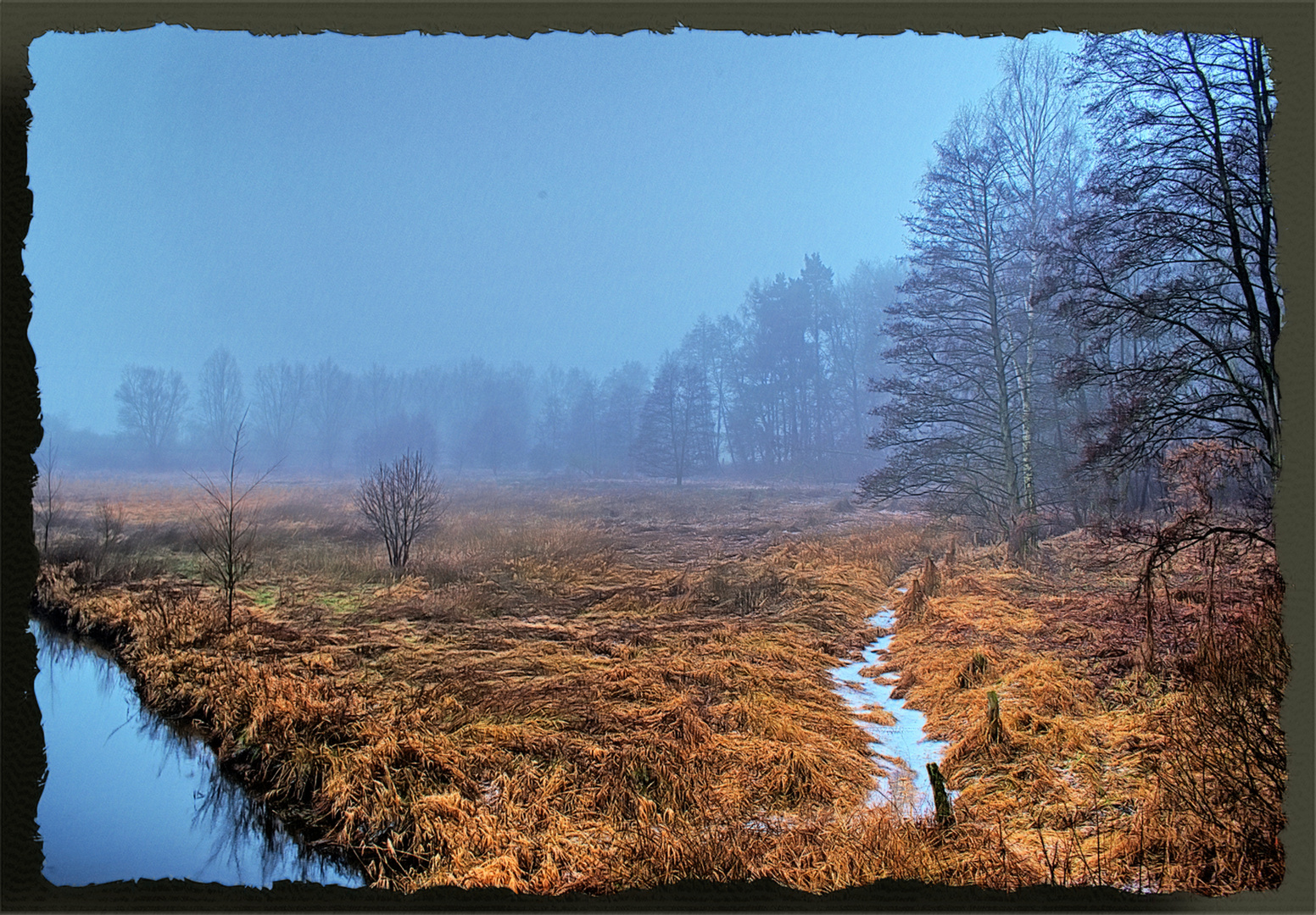 Landschaft im Nebel (2)