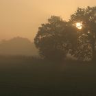 Landschaft im Nebel