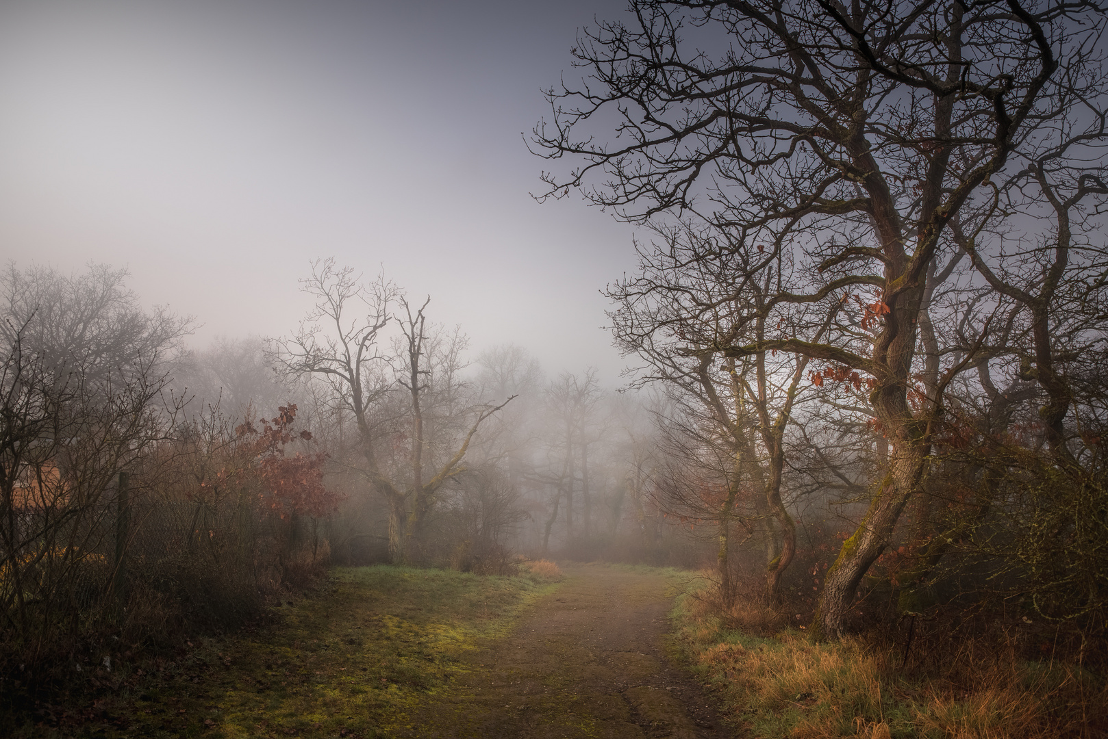 Landschaft im Nebel