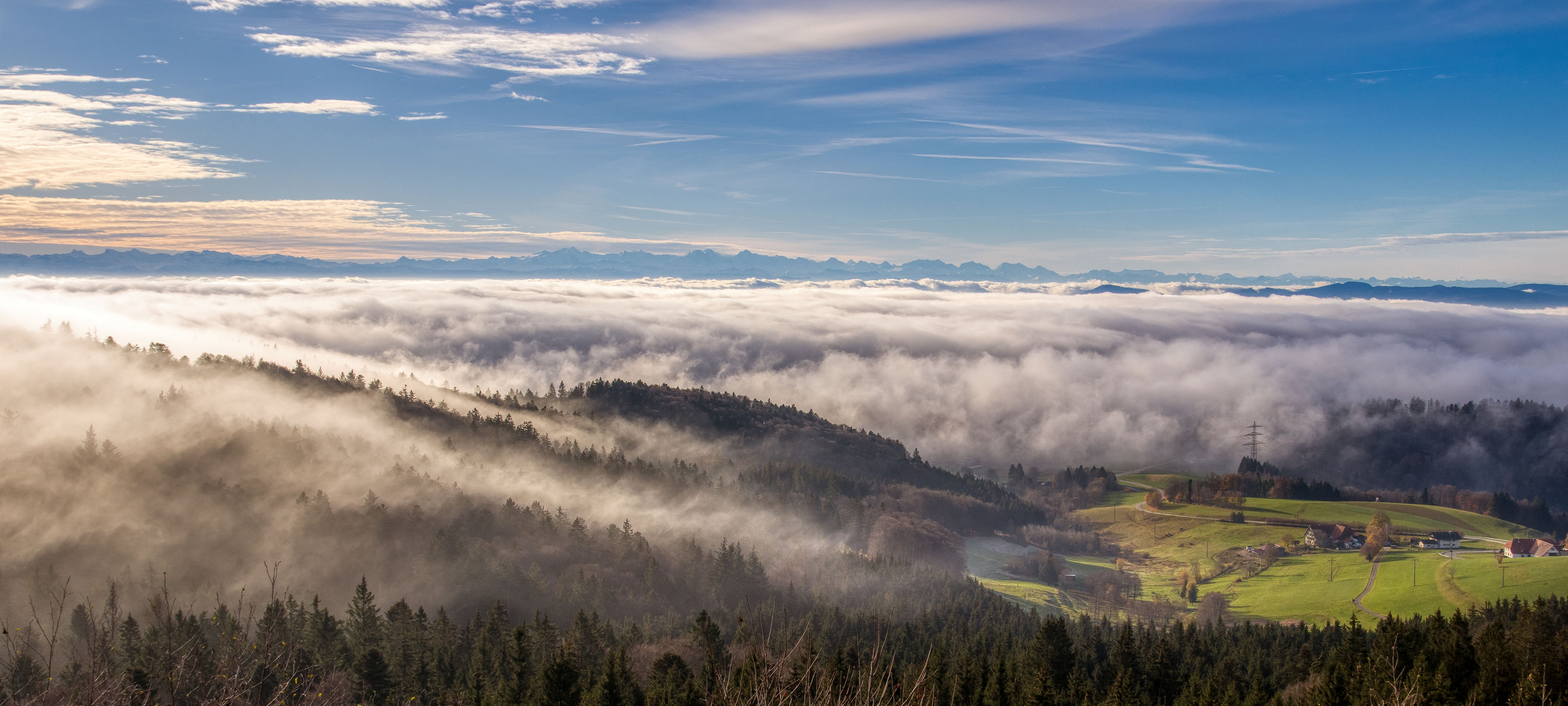 Landschaft im Nebel