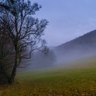 Landschaft im Nebel