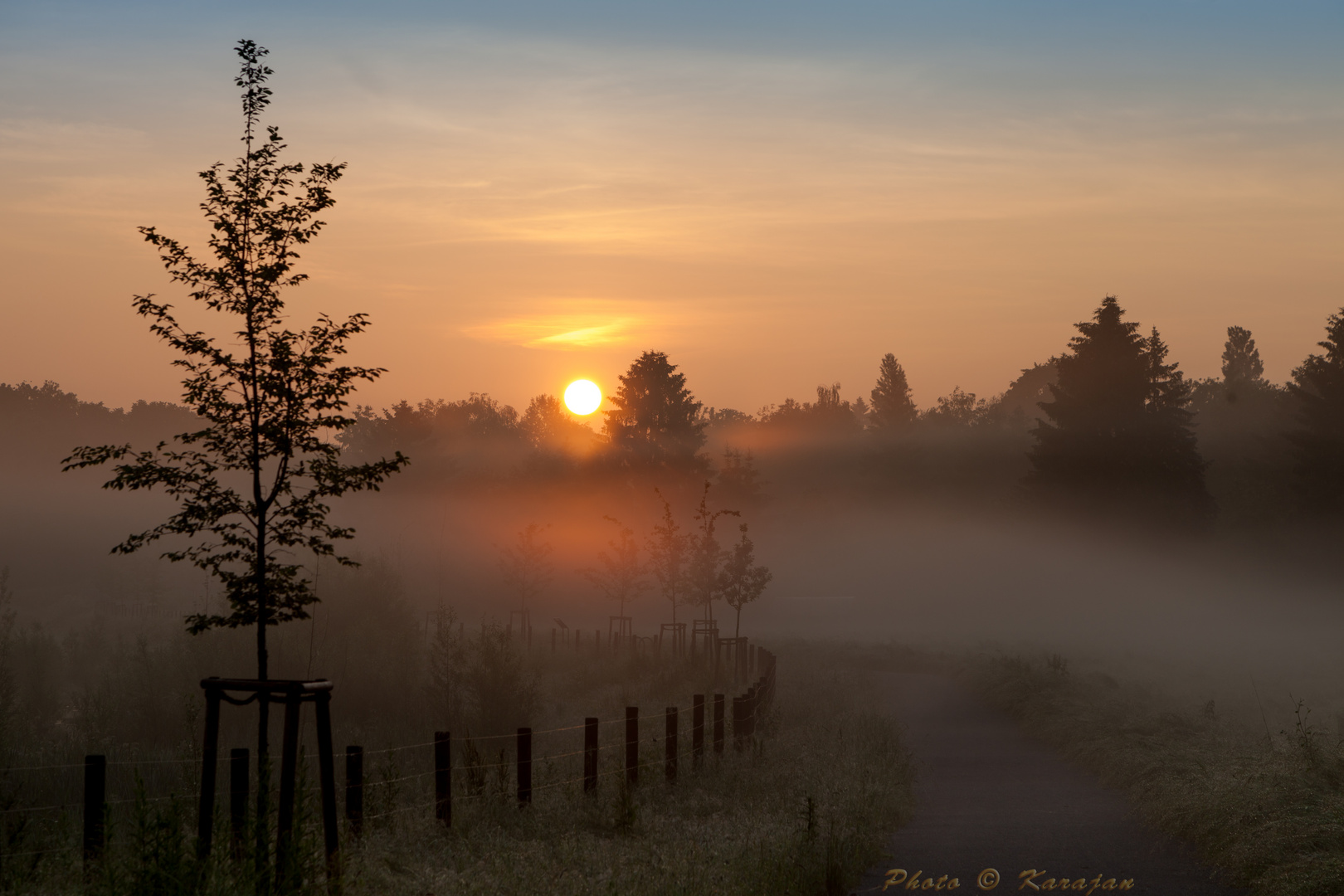 Landschaft im Nebel