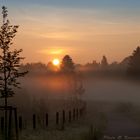 Landschaft im Nebel