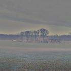 Landschaft im Nebel