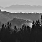 Landschaft im Nebel