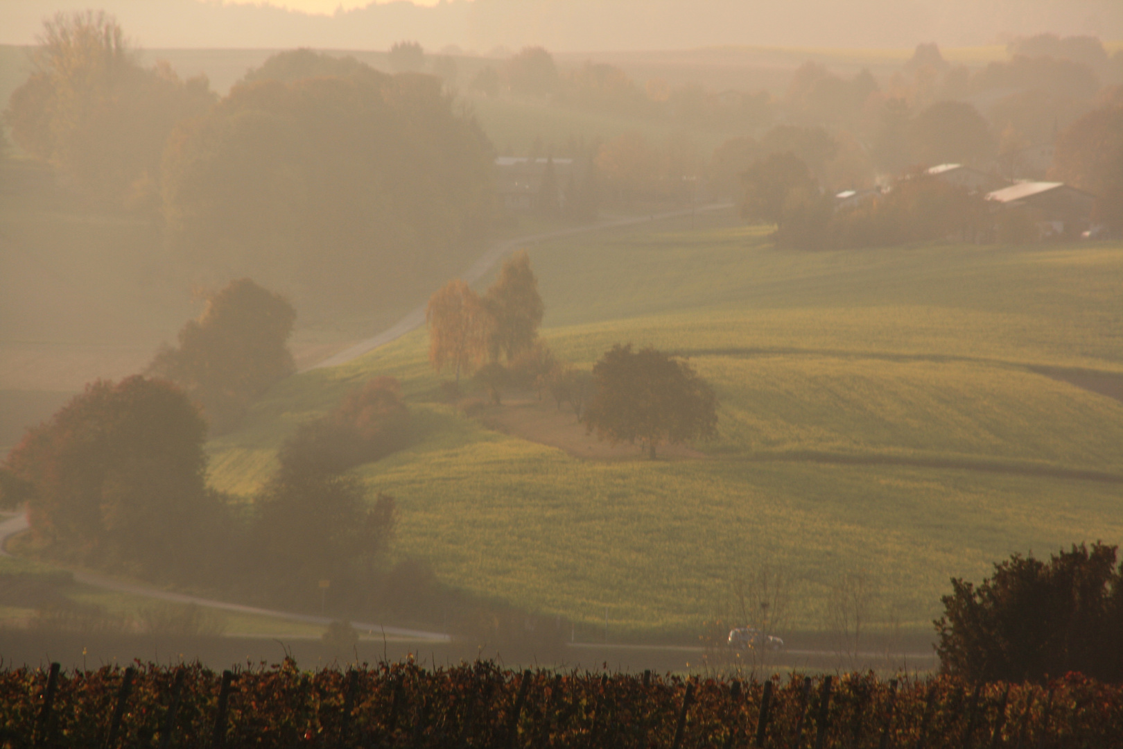 Landschaft im Nebel