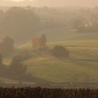 Landschaft im Nebel