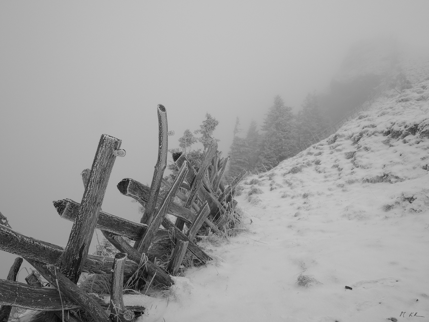 Landschaft im Nebel