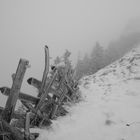 Landschaft im Nebel