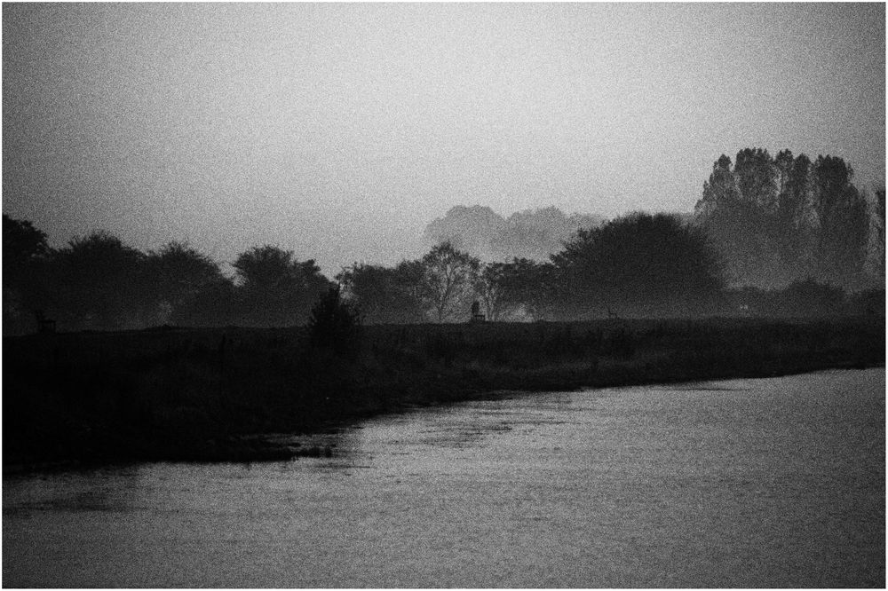 Landschaft im Nebel ...