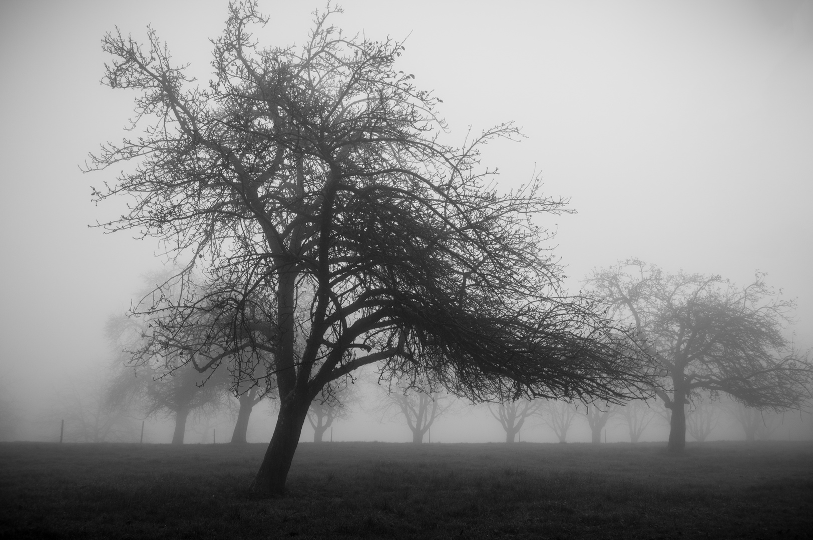 Landschaft im Nebel