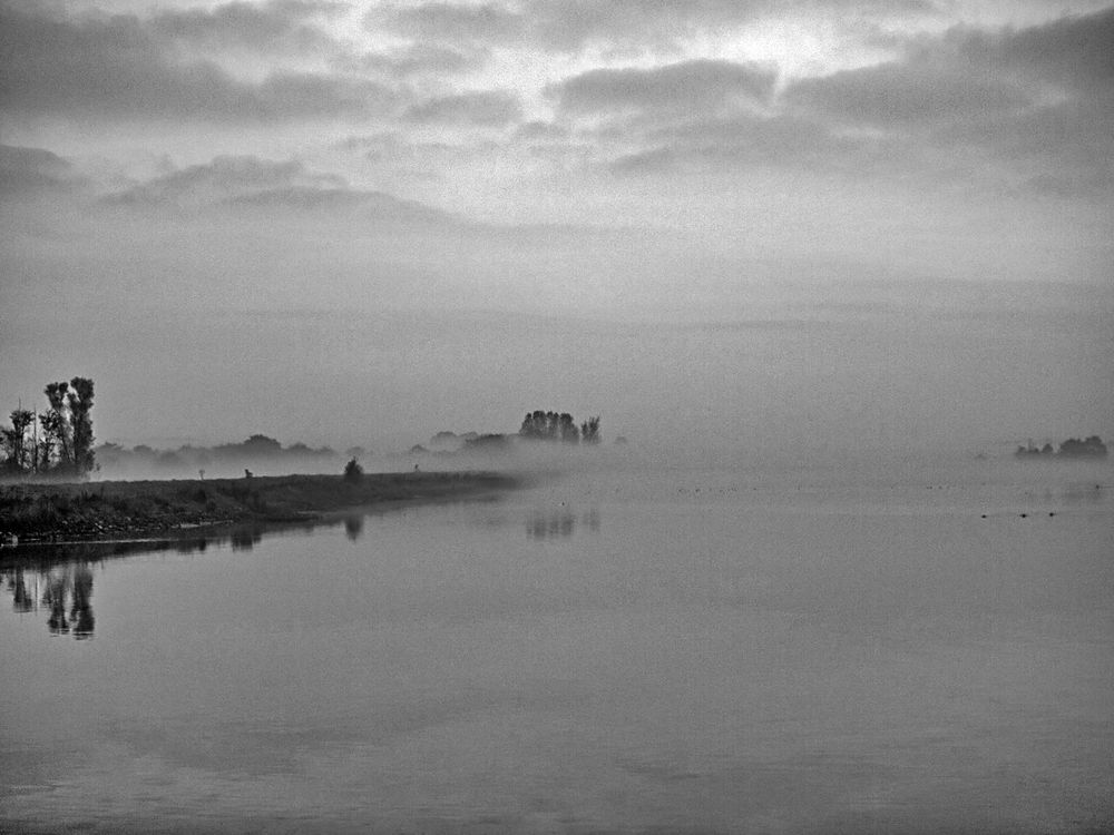 landschaft im nebel .