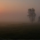 Landschaft im Nebel   . . .